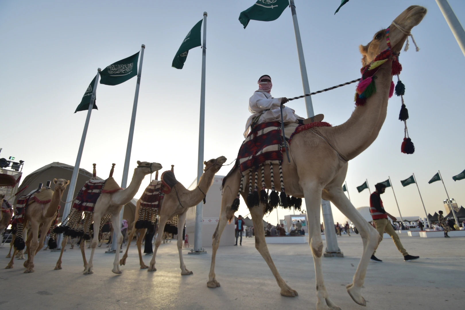 King Abdulaziz Camel Festival